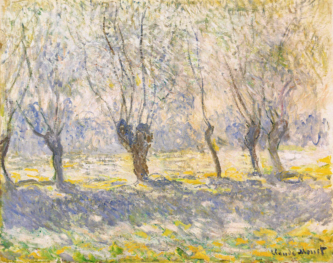 Willows, Giverny (Claude Monet) - Reprodução com Qualidade Museu