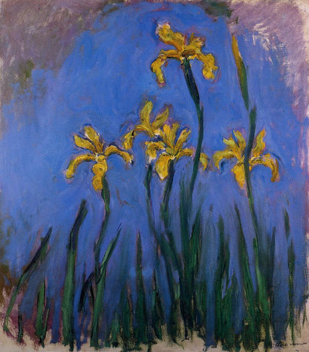 Íris amarelas (Claude Monet) - Reprodução com Qualidade Museu