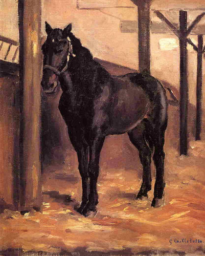Yerres, Dark Bay Horse no estábulo (Gustave Caillebotte) - Reprodução com Qualidade Museu