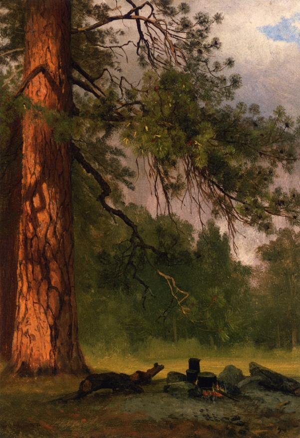 Cozinha de acampamento de Yosemite (Albert Bierstadt) - Reprodução com Qualidade Museu